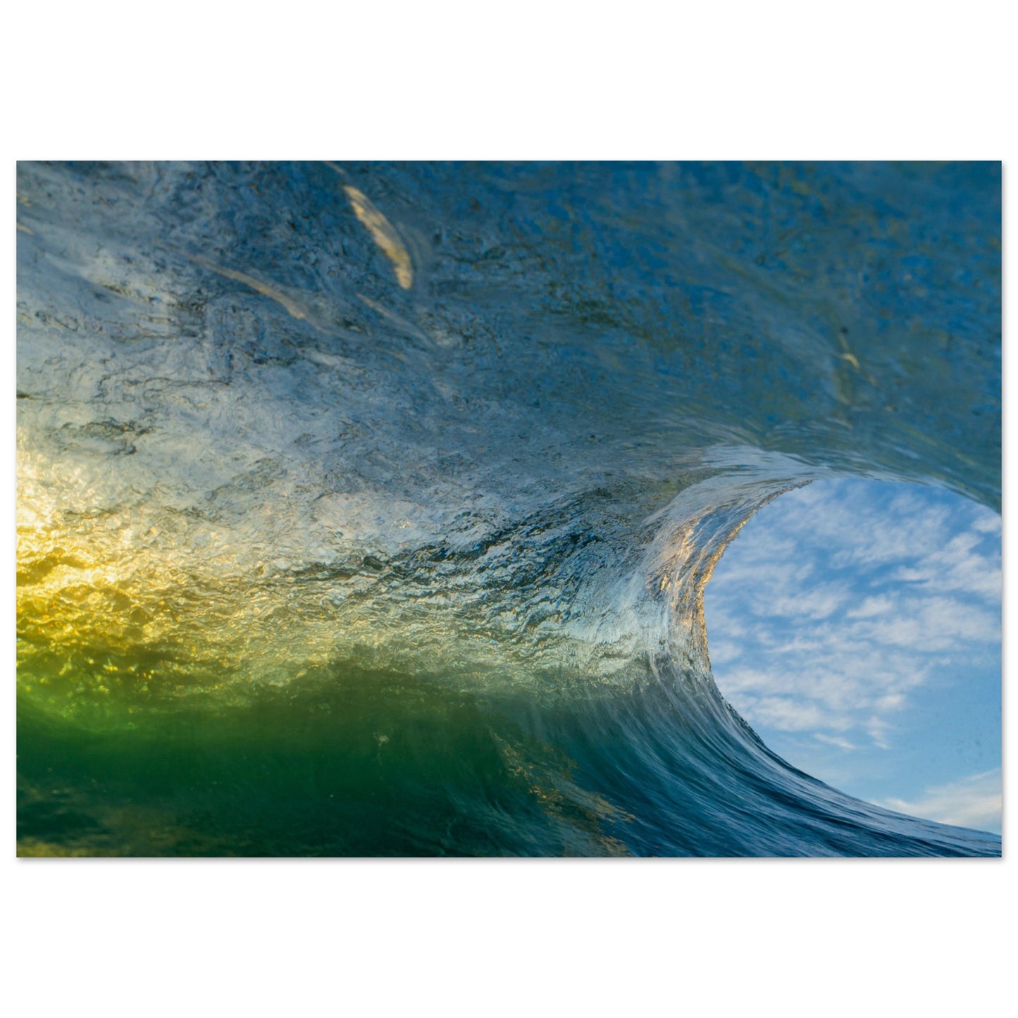 11742155-2376-42a8-8926-5880a5d67dd0