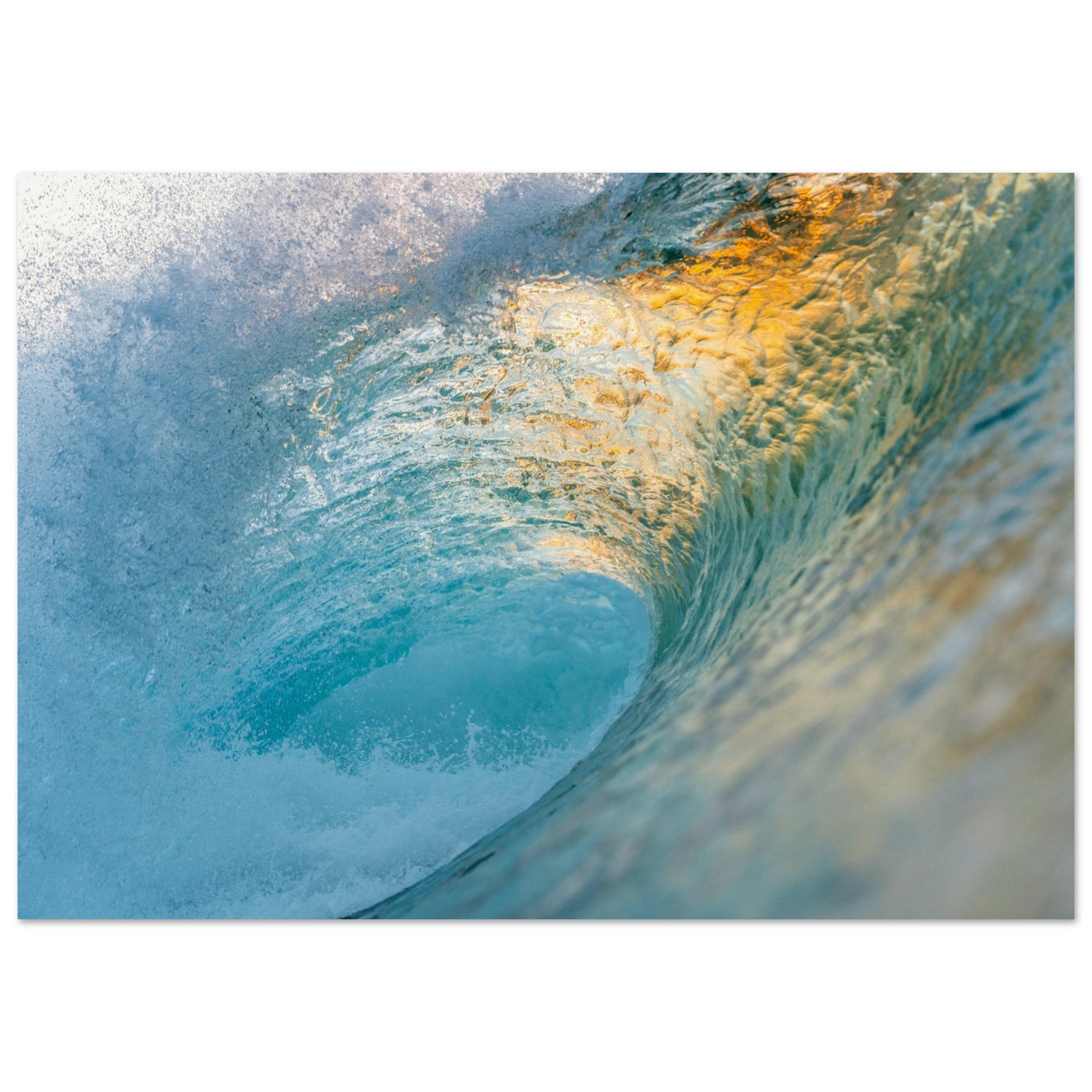 1c6f171f-594b-45b9-a728-4eeb8135e900