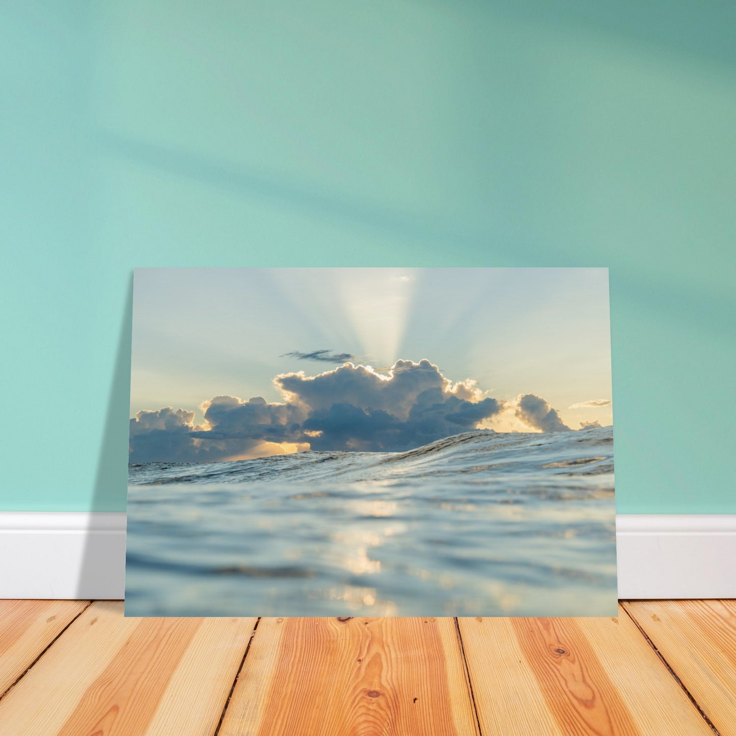 4afd6d88-4844-40d5-abe7-6273d7335673