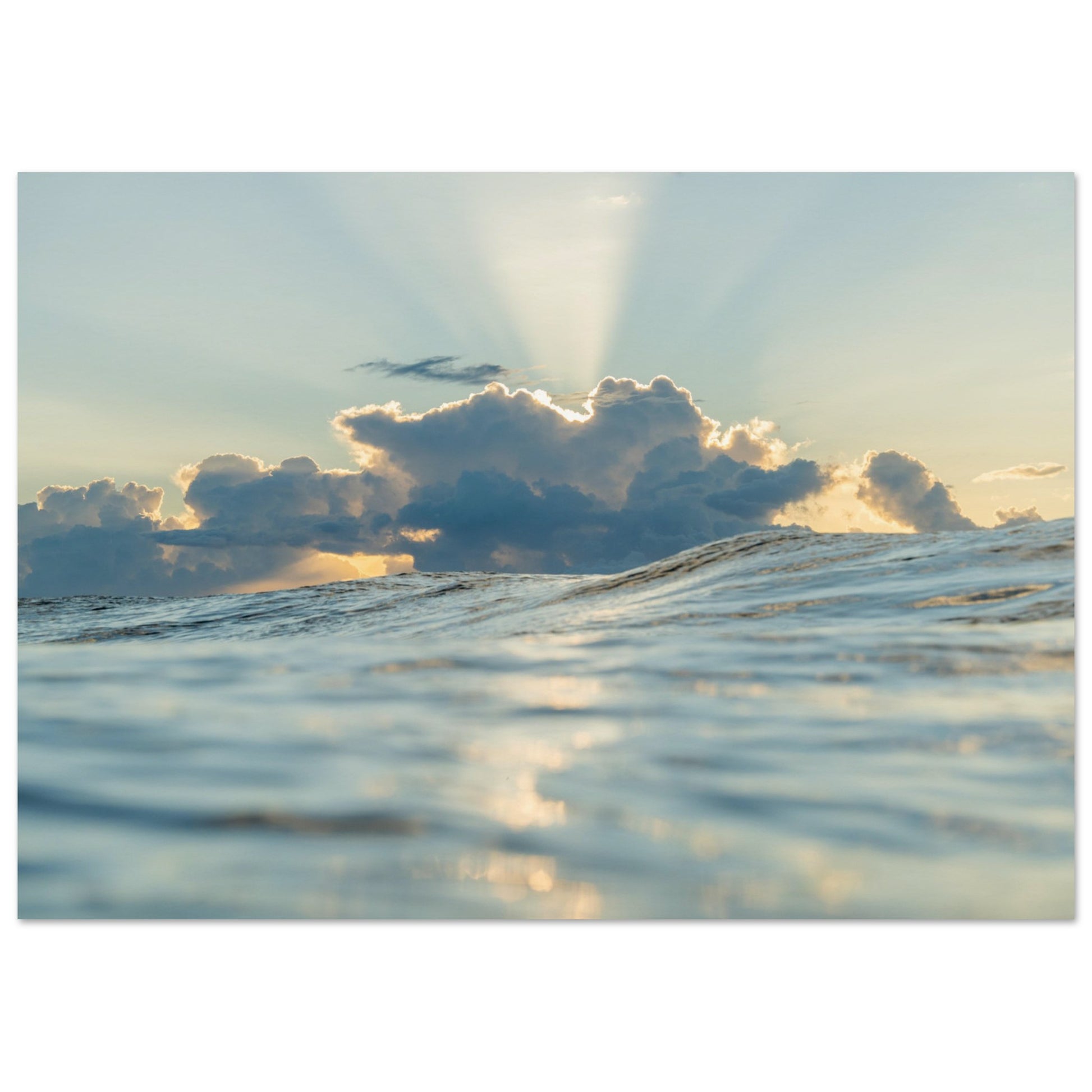 5dfbb658-19c2-42fe-87c6-f8340aff29d2