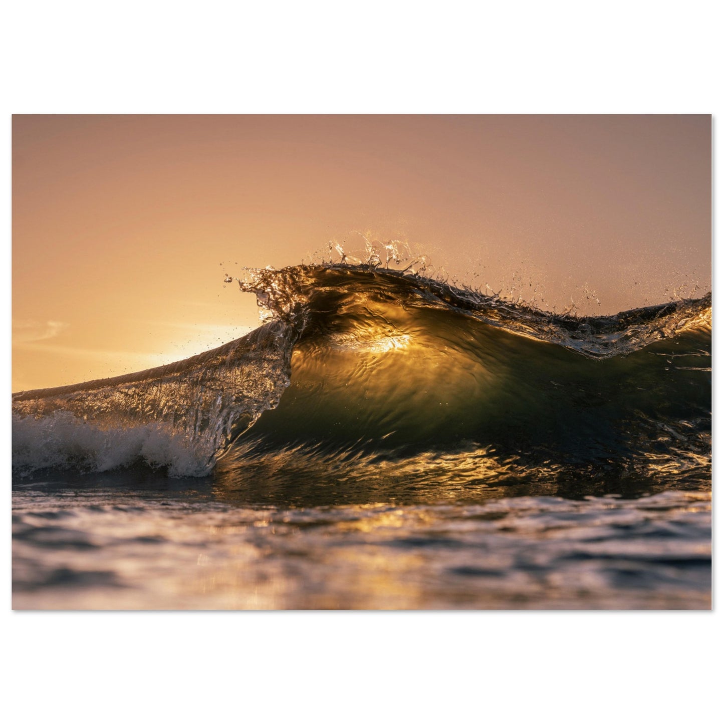 a723c380-bc39-4d98-8112-8c62b86d8374