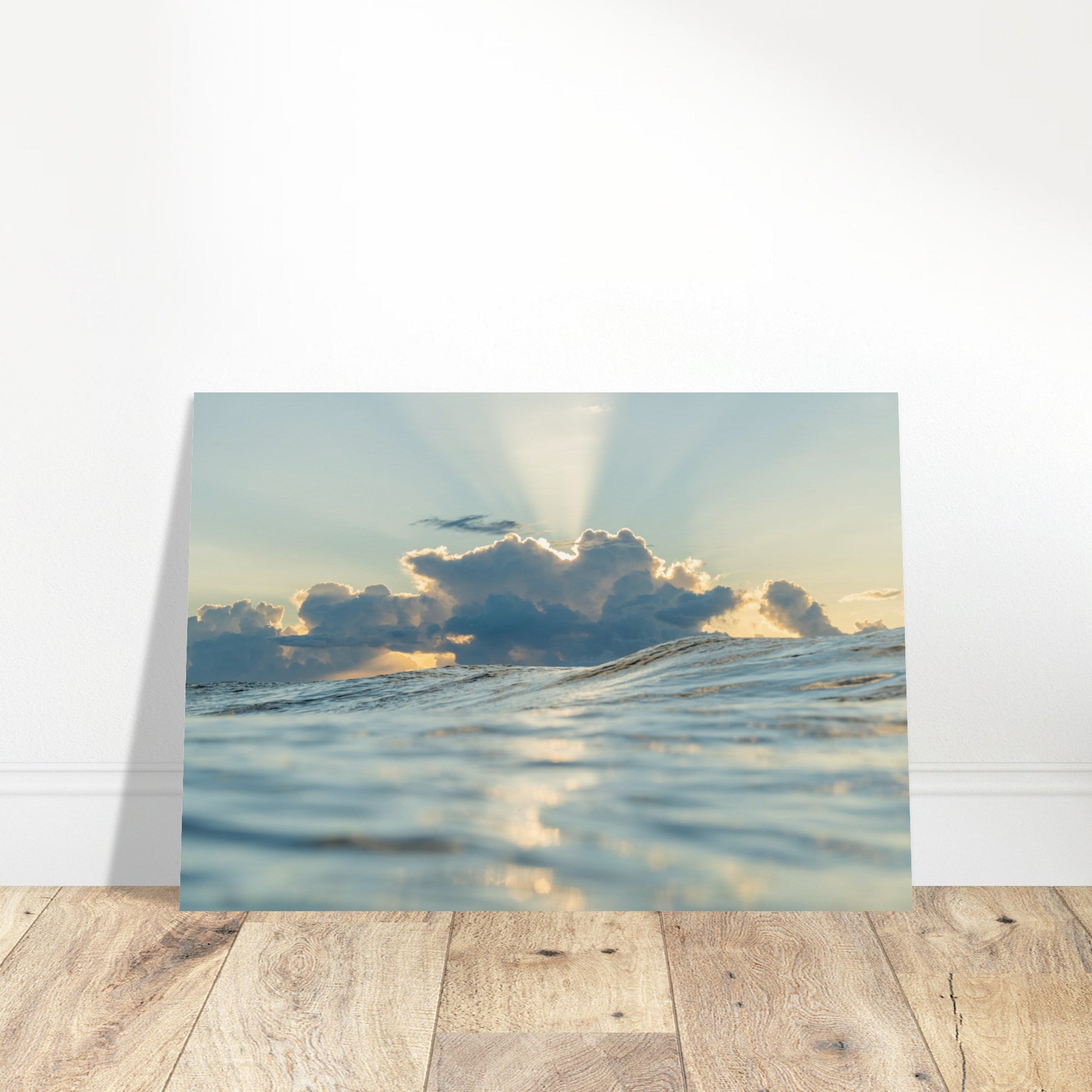 d0551eb4-bdc5-4d99-a57e-b82ef7746af9