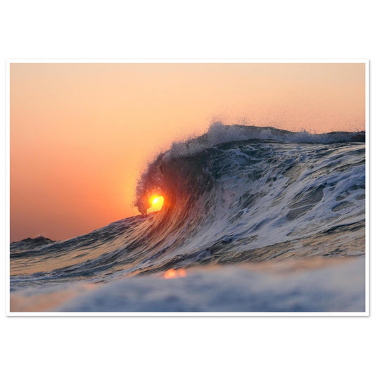 d13aeb0f-a760-4cba-b857-78856518b252
