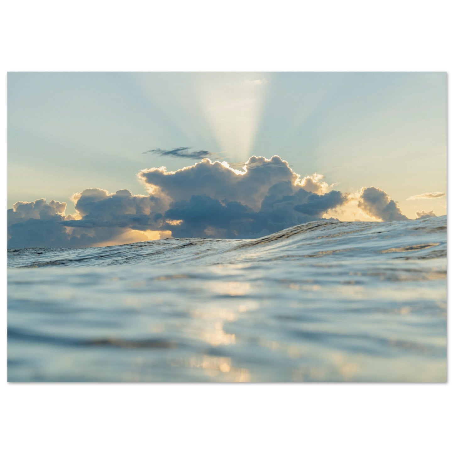 d5d00701-3a6c-4da0-823e-0140e3cf306a