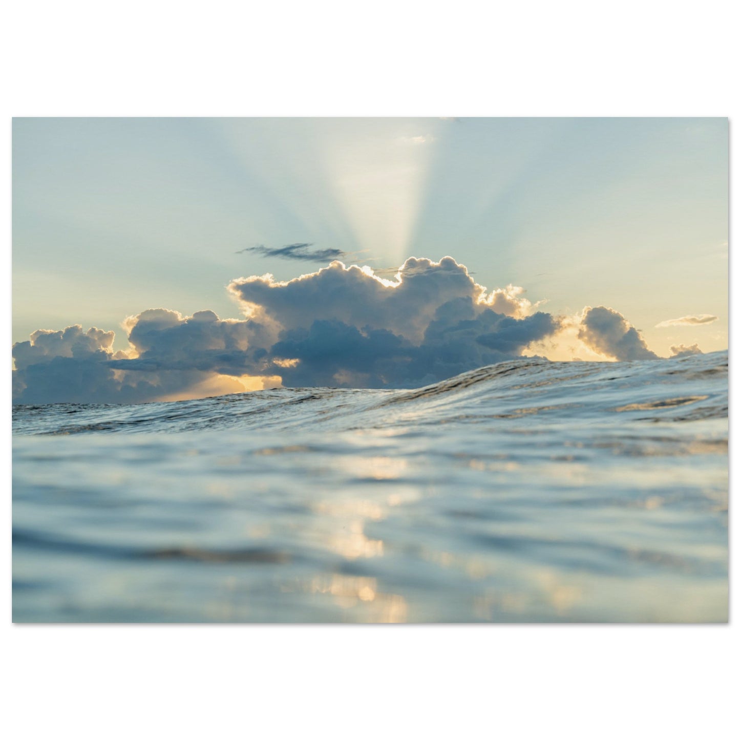 f263ab70-dd6f-4db0-98ad-04ea9984ec33