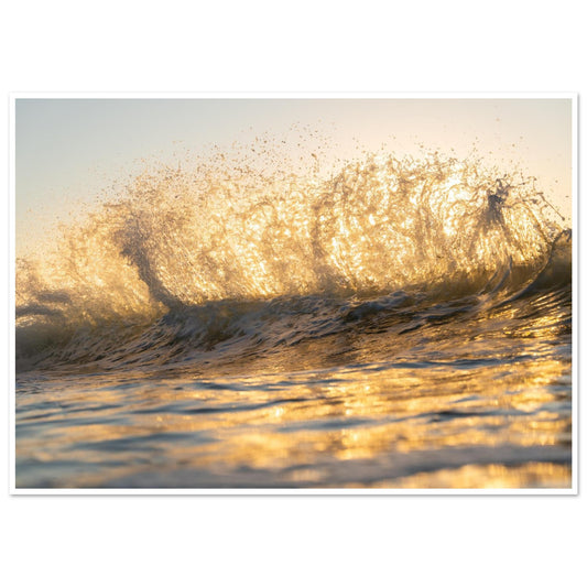 0345b82b-657c-4715-9d61-0807370f4368