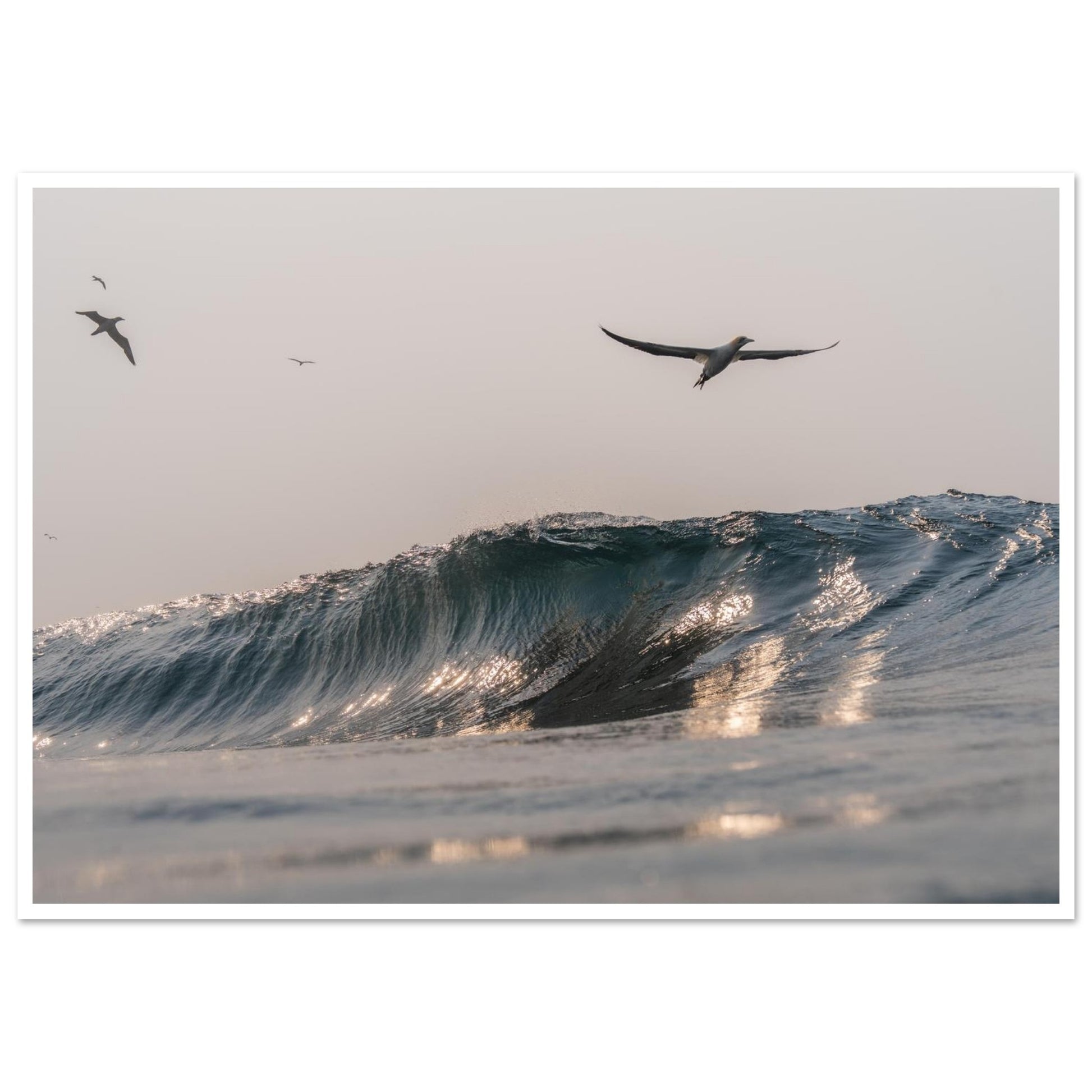 5e5437f7-7f28-488b-9c97-653506aad81f