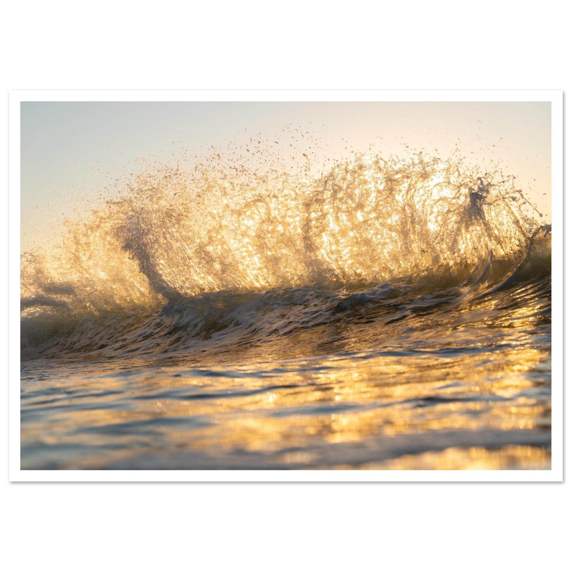 8f705833-fe07-4fa1-b98d-e49e7c661481