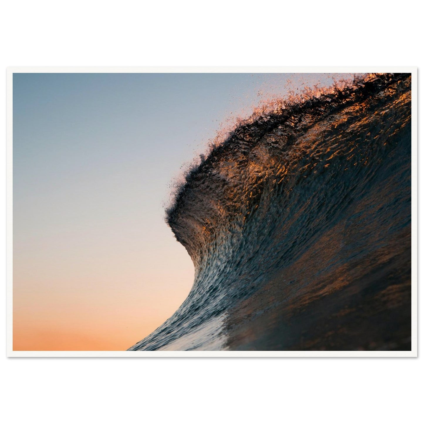 d032620c-abbd-43b4-86c7-15f7bc6a7a57