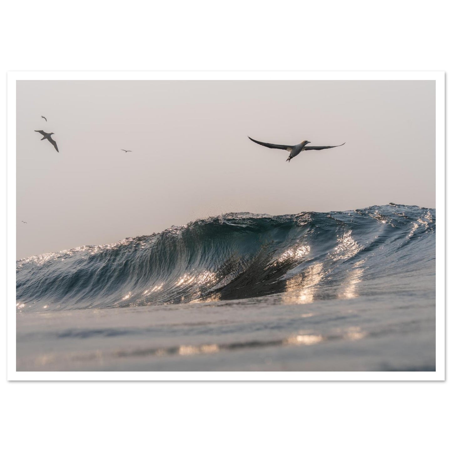 fb2b14f8-ab11-40ce-b1e3-c690ccdc9128