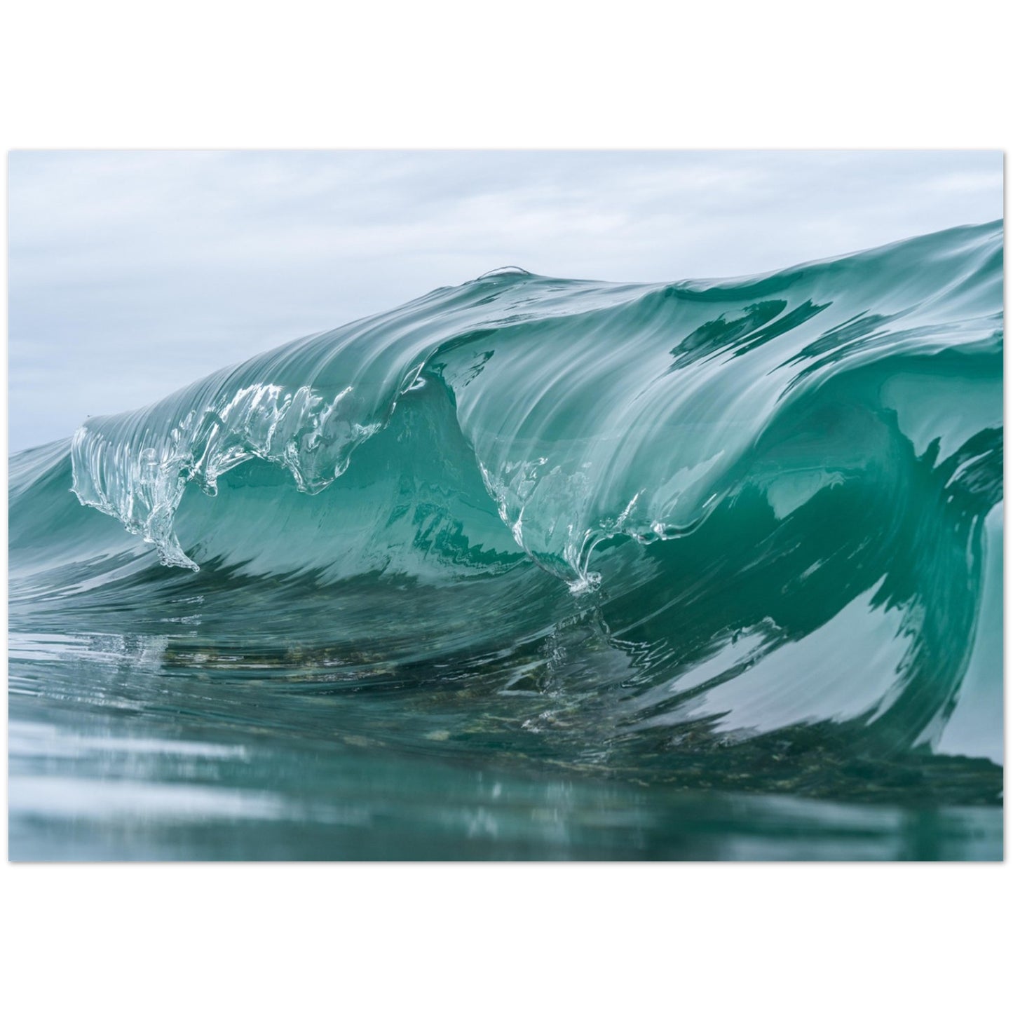 fcba323f-cfa6-4ac0-9691-94b5ffd0049d