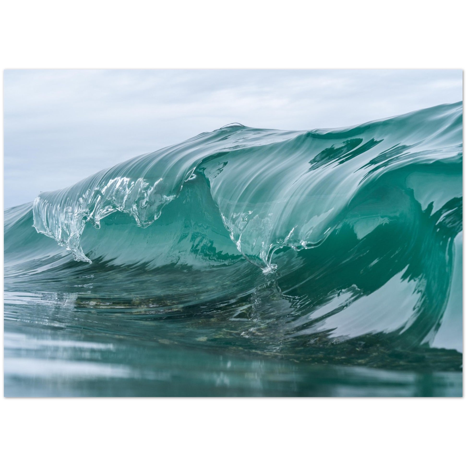 fcba323f-cfa6-4ac0-9691-94b5ffd0049d